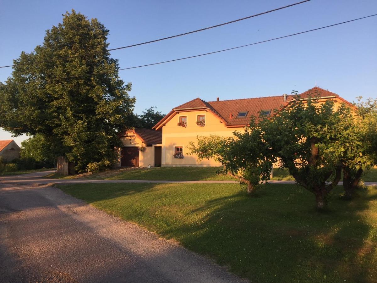 V Podyjí Apartament