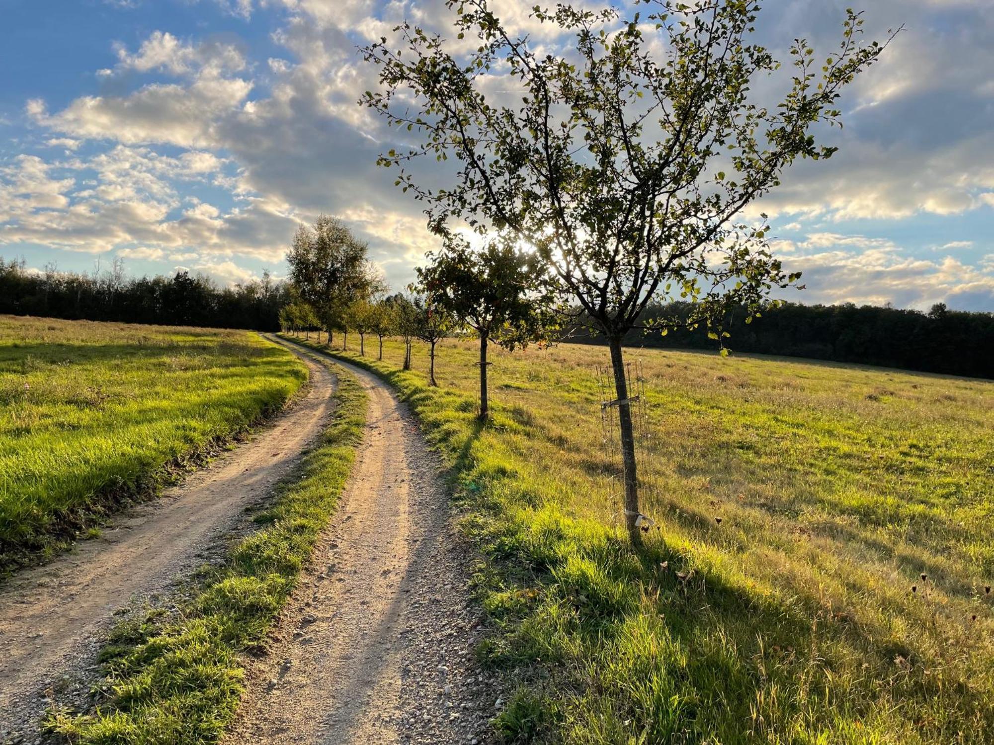 Apartament V Podyjí